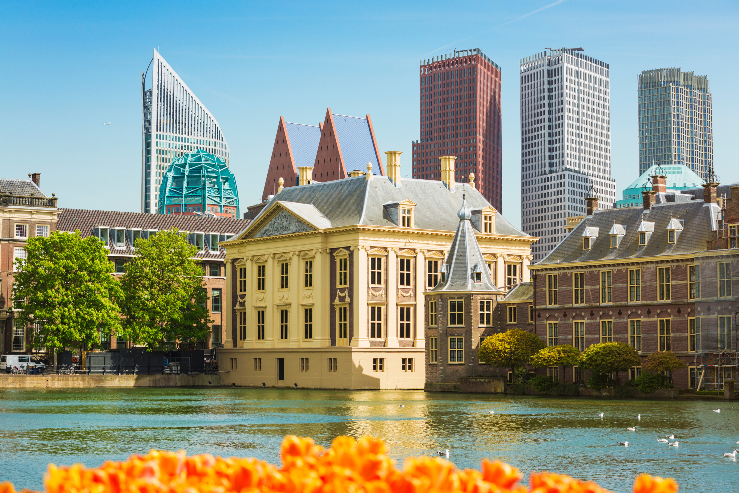 76 the hague.webp